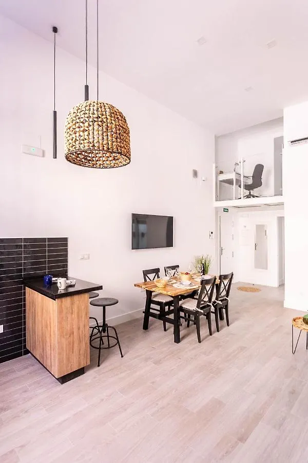 Maravilloso loft dúplex casco histórico Sevilla Apartamento