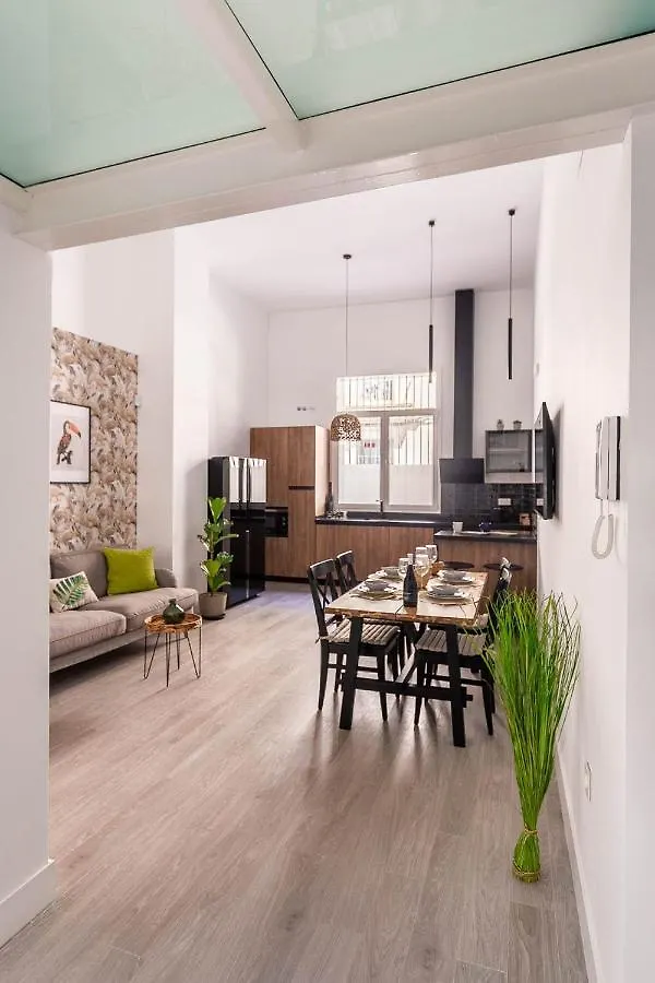 Apartamento Maravilloso loft dúplex casco histórico Sevilla