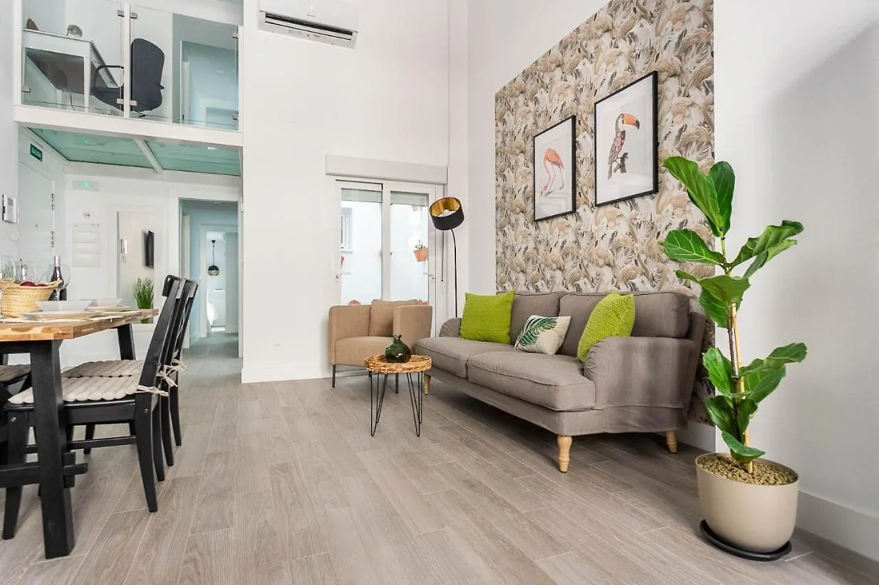 Maravilloso loft dúplex casco histórico Sevilla España