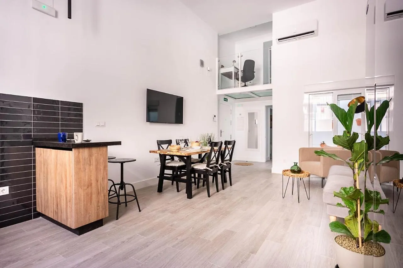 Maravilloso loft dúplex casco histórico Sevilla